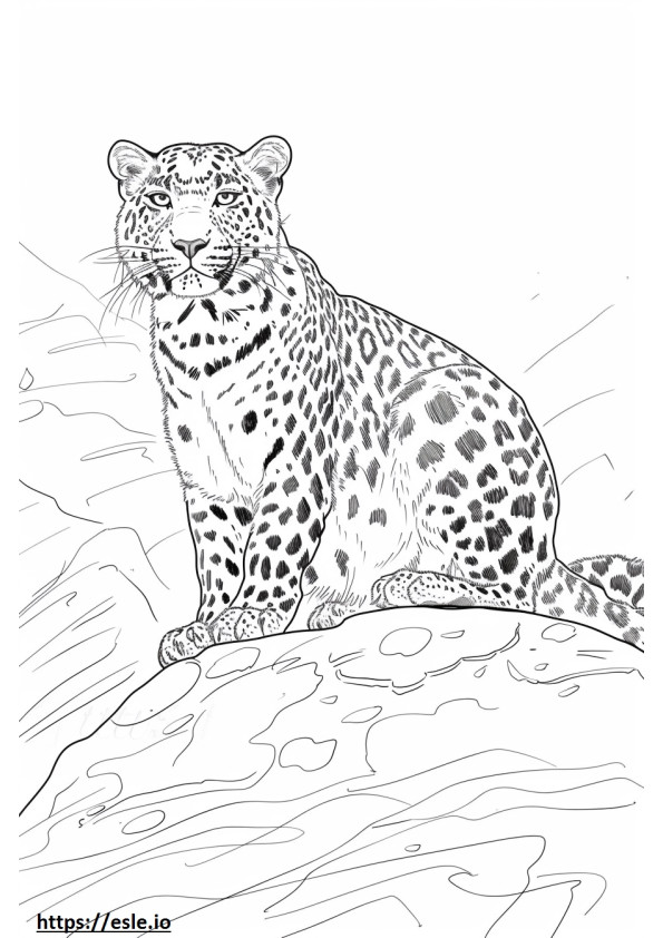 Leopardo de Amur fofo para colorir