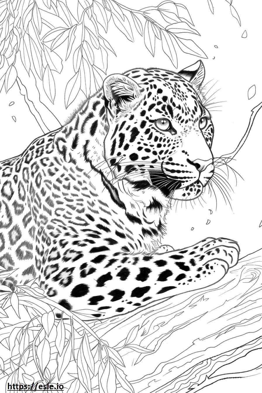Il leopardo dell'Amur è felice da colorare