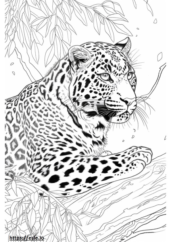 Amurleopard glücklich ausmalbild