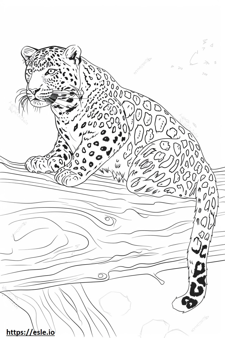 Leopardul Amur fericit de colorat