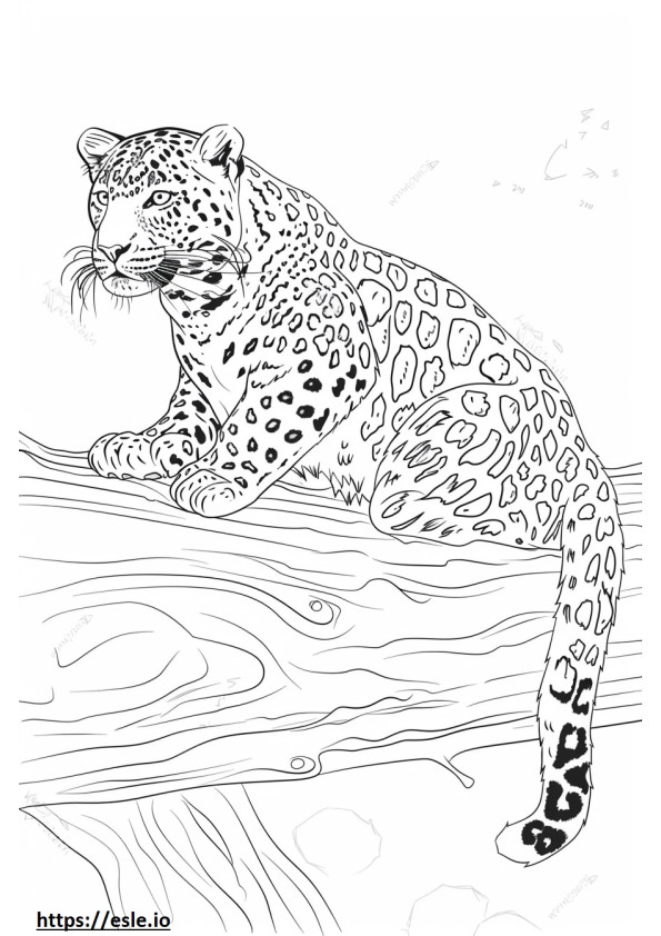 Leopardo de Amur feliz para colorir
