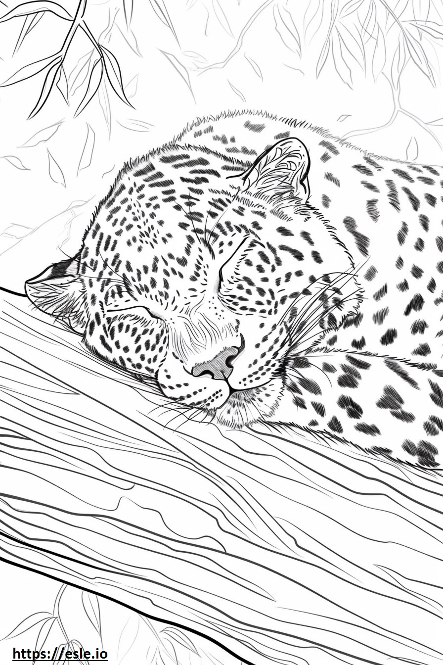 Leopardo dell'Amur che dorme da colorare