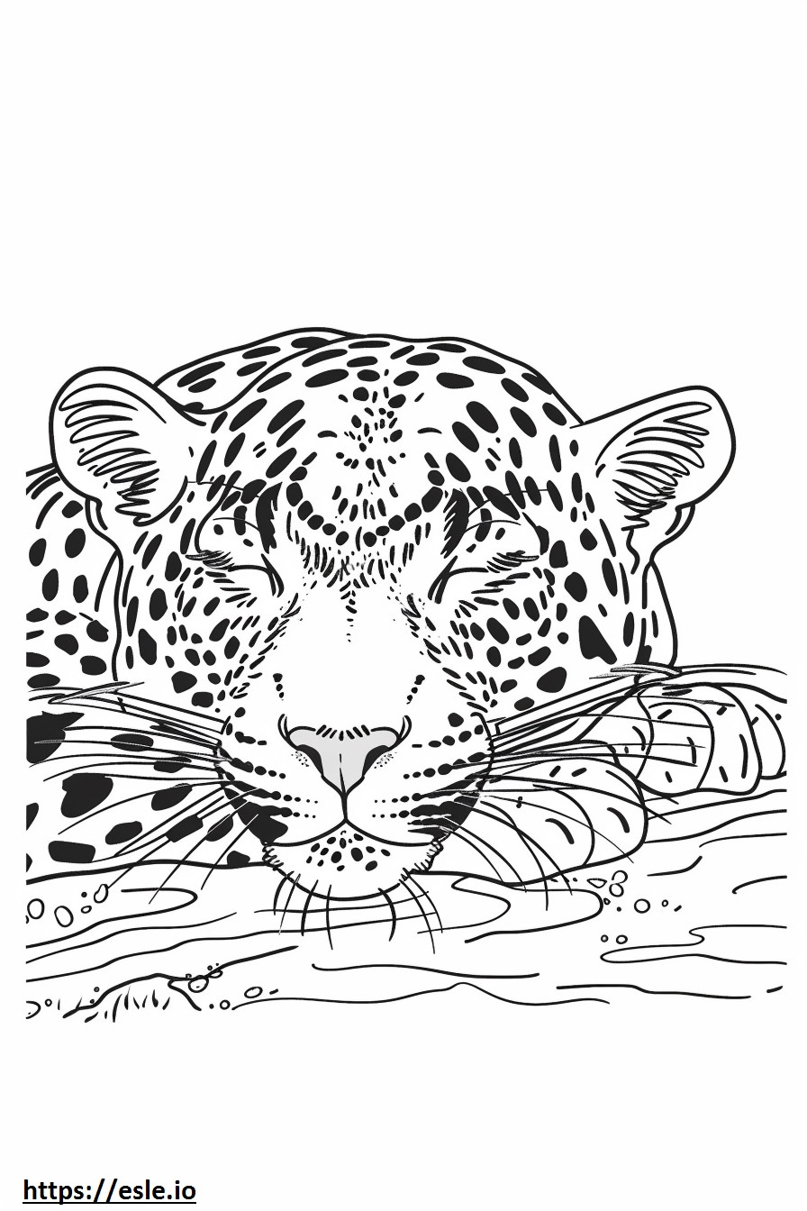 Leopardo de Amur dormindo para colorir