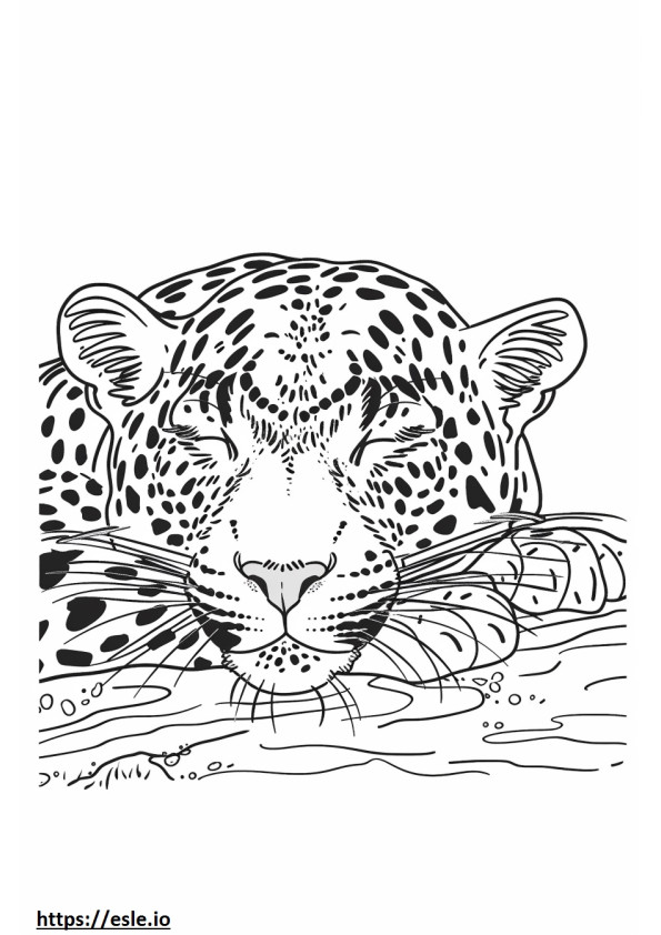 Amur Leopardi nukkuu värityskuva