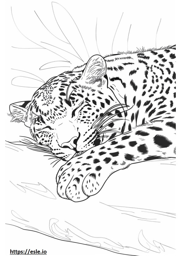 Leopardo dell'Amur che dorme da colorare