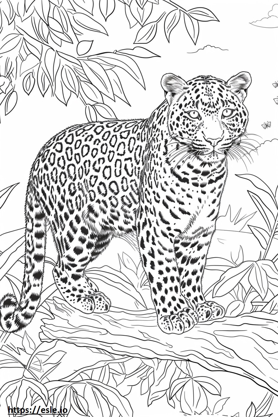 Leopardo dell'Amur che gioca da colorare