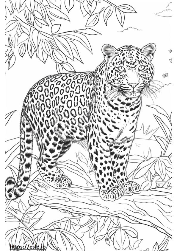 Leopardo dell'Amur che gioca da colorare