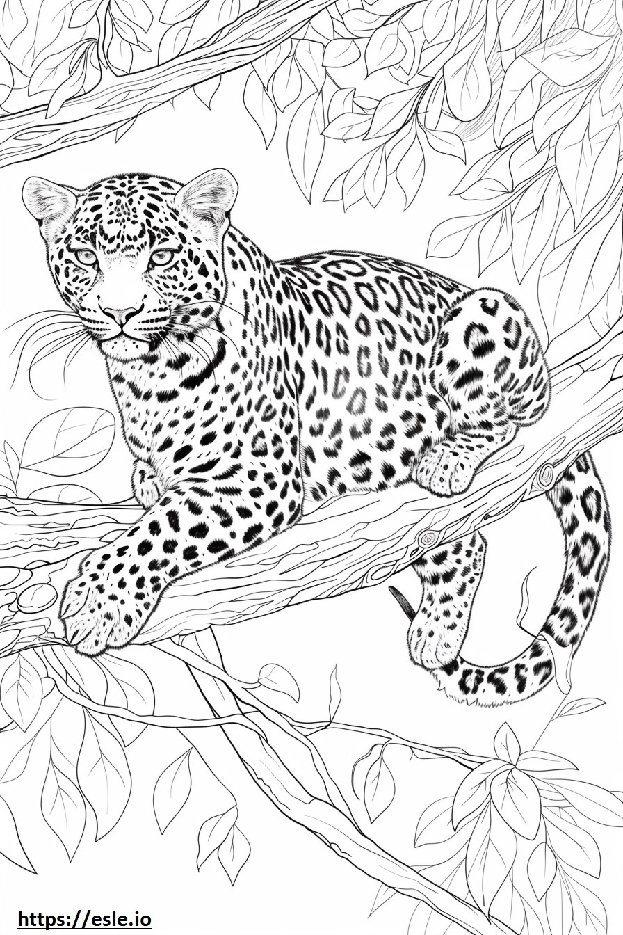 Amur Leopard Playing coloring page