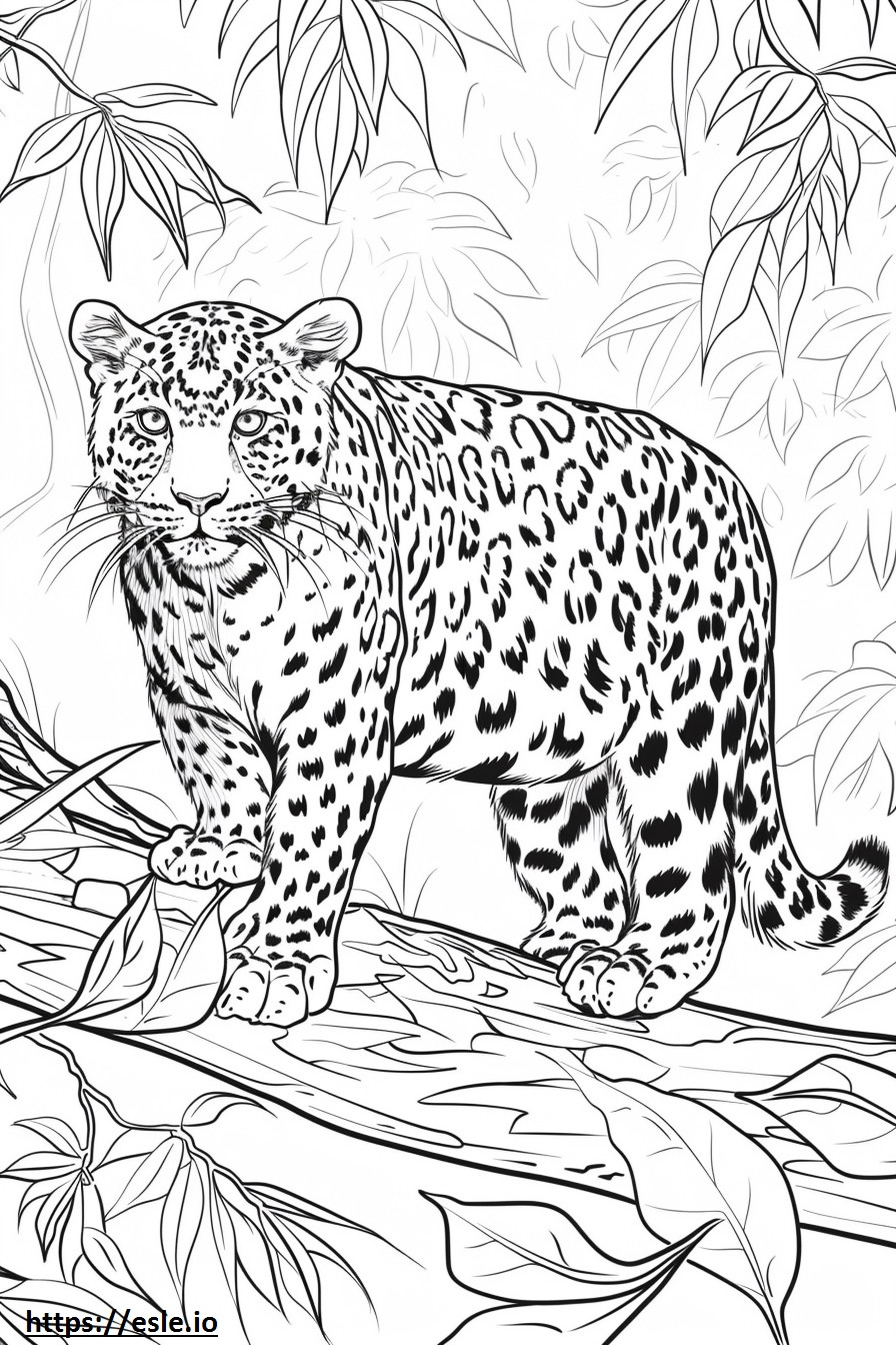 Amur Leopard Playing coloring page