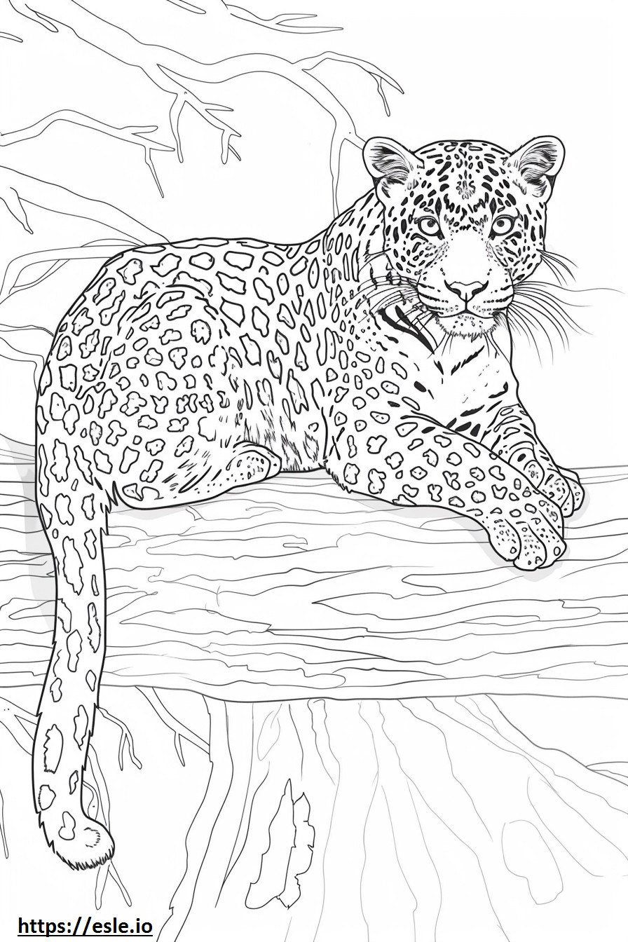 Amur Leopard Kawaii coloring page