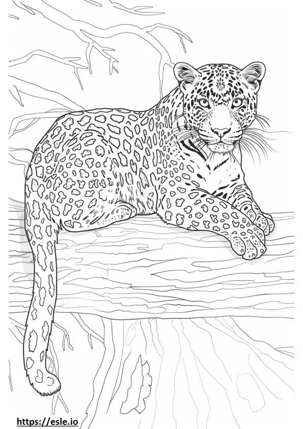 Amur Leopard Kawaii coloring page