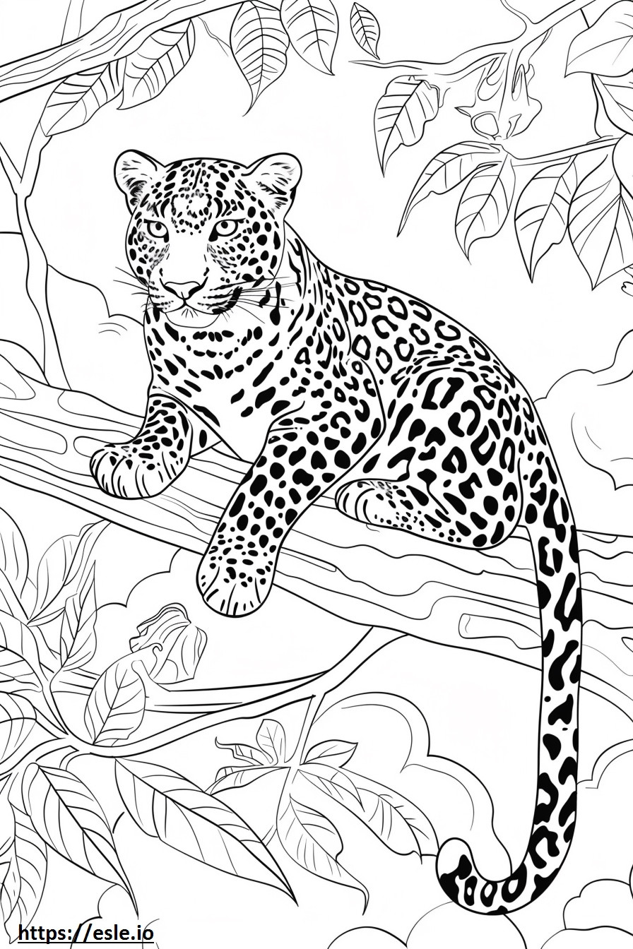 Amur Leopard Kawaii värityskuva