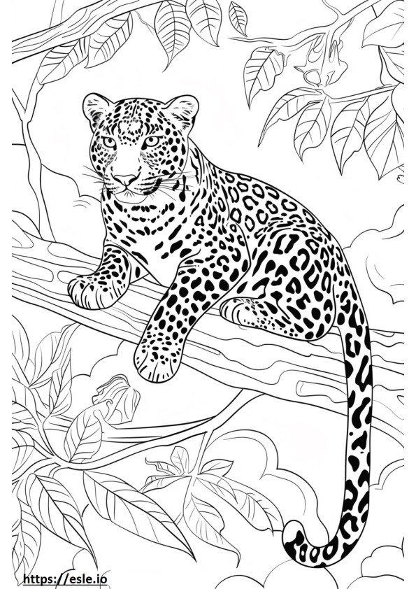 Leopardo de Amur Kawaii para colorear e imprimir