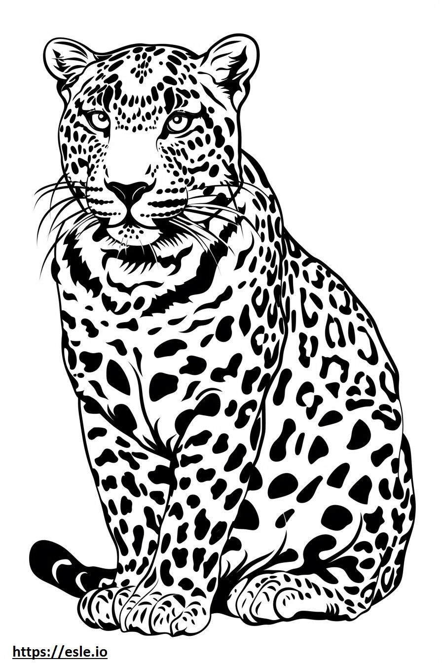 Amur Leopard Kawaii värityskuva