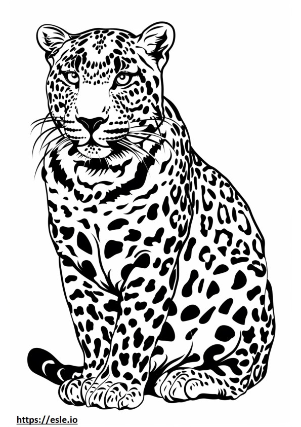 Amur Leopard Kawaii de colorat