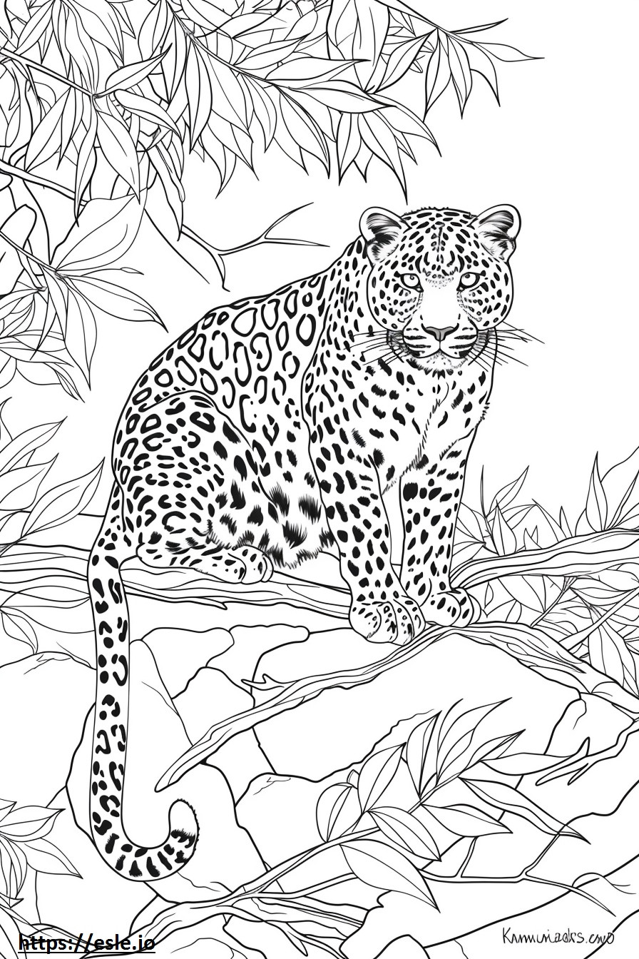 Leopardo dell'Amur Kawaii da colorare
