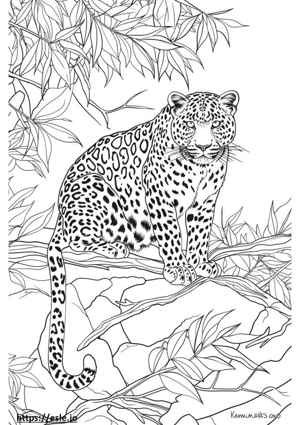 Coloriage Léopard de l'Amour Kawaii à imprimer