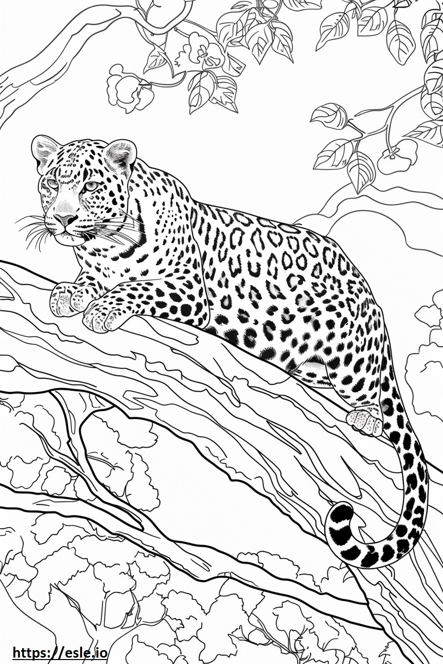 Amur Leopard ystävällinen värityskuva