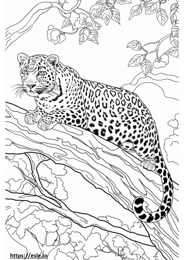 Amur Leopard Friendly de colorat