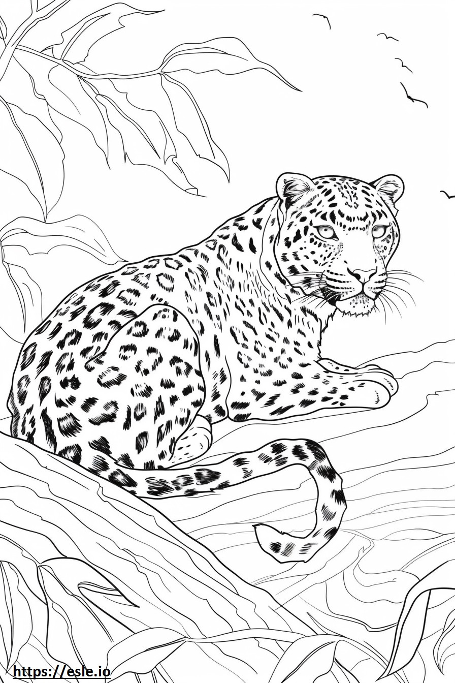 Amur Leopard ystävällinen värityskuva
