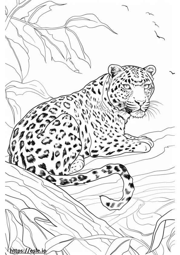 Amur-Leoparden freundlich ausmalbild