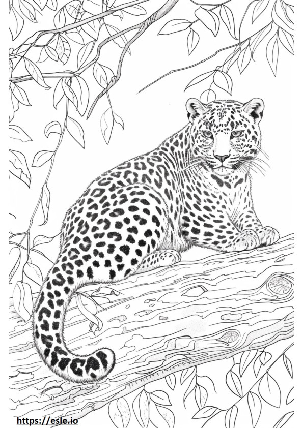 Amur Leopardo Amigável para colorir