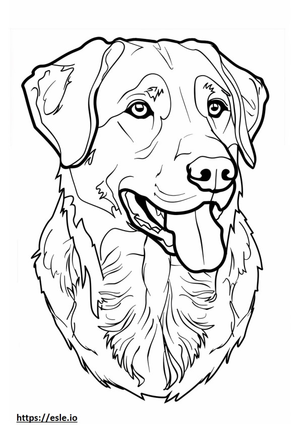 Gesicht eines anatolischen Schäferhundes ausmalbild