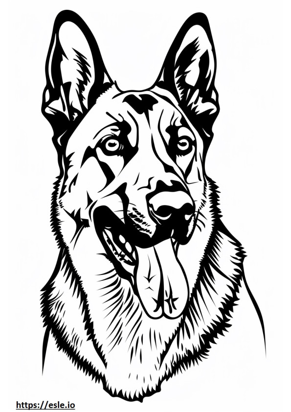 Coloriage Visage de chien de berger d'Anatolie à imprimer