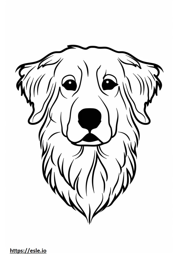 Cara de perro pastor de Anatolia para colorear e imprimir