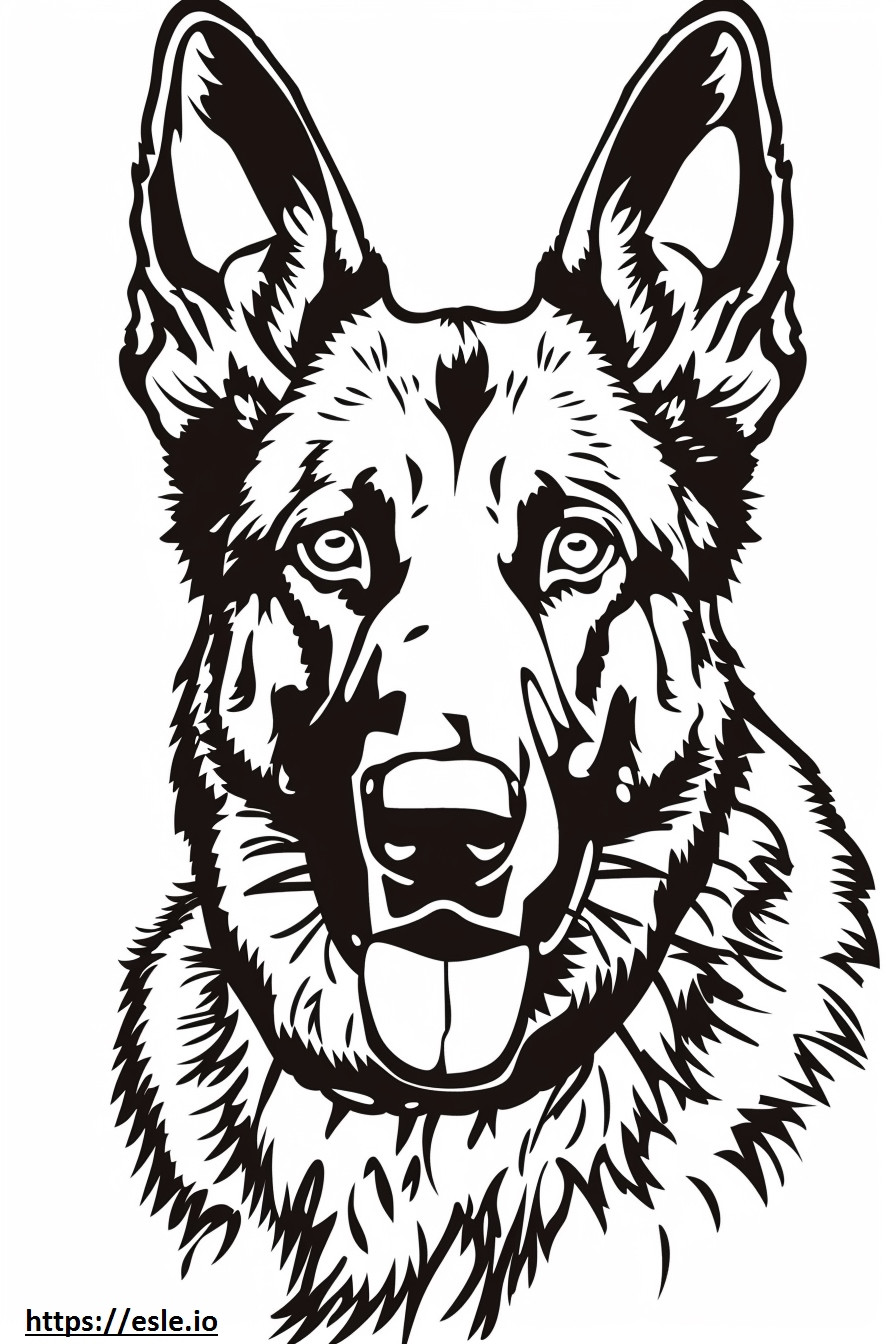 Gesicht eines anatolischen Schäferhundes ausmalbild