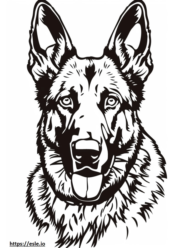 Cara de perro pastor de Anatolia para colorear e imprimir
