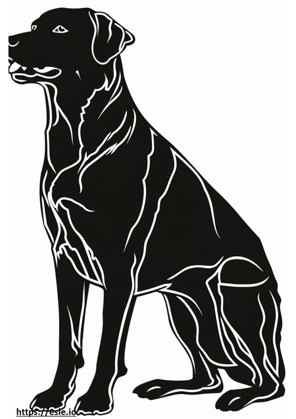 Anatolische herdershond volledig lichaam kleurplaat