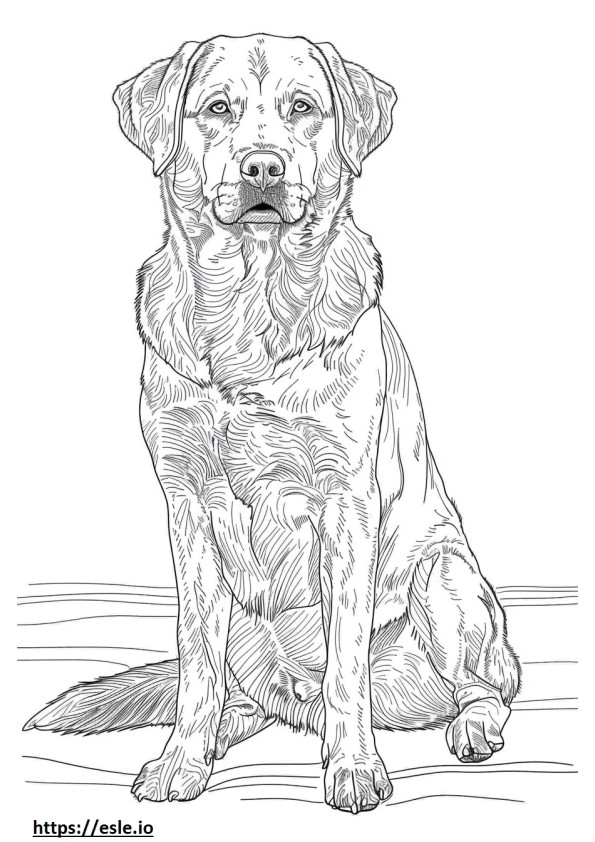 Anatolischer Schäferhund-Cartoon ausmalbild