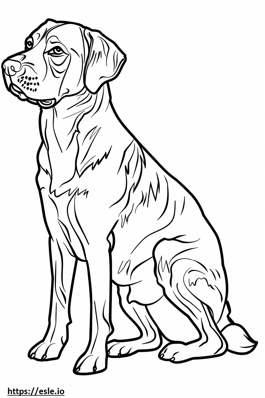 Desenho de cão pastor da Anatólia para colorir