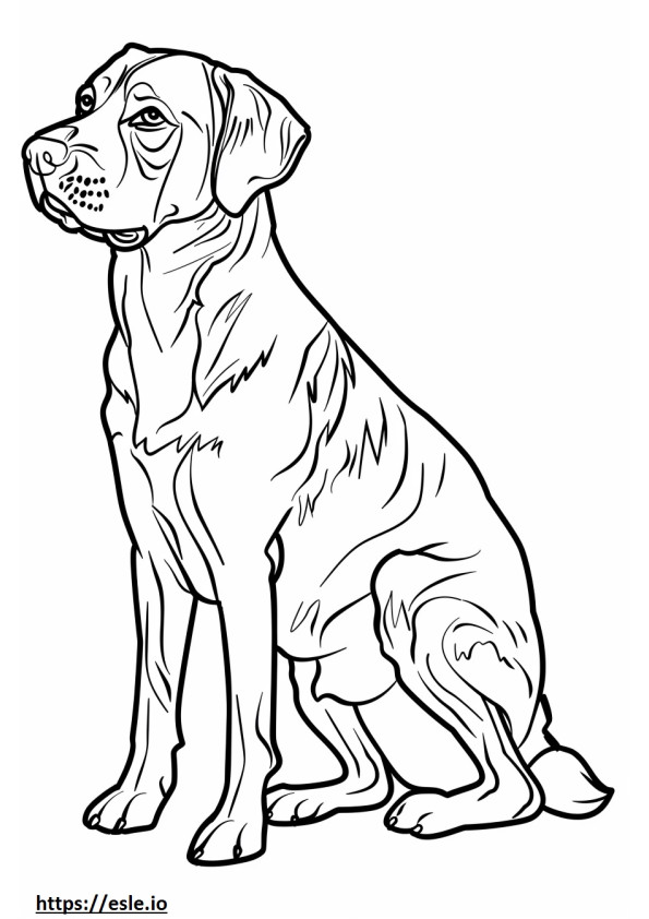 Desen animat câine ciobănesc anatolian de colorat