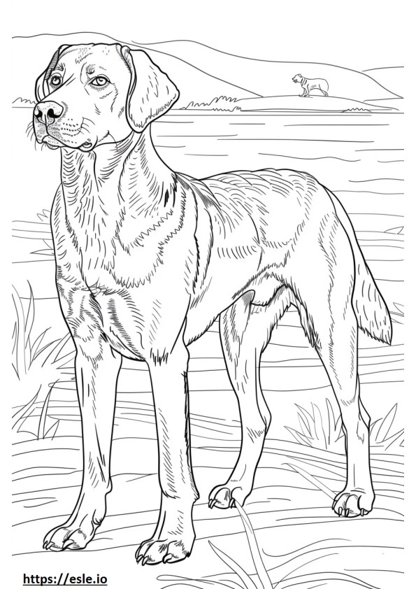 Coloriage Caricature de chien de berger d'Anatolie à imprimer