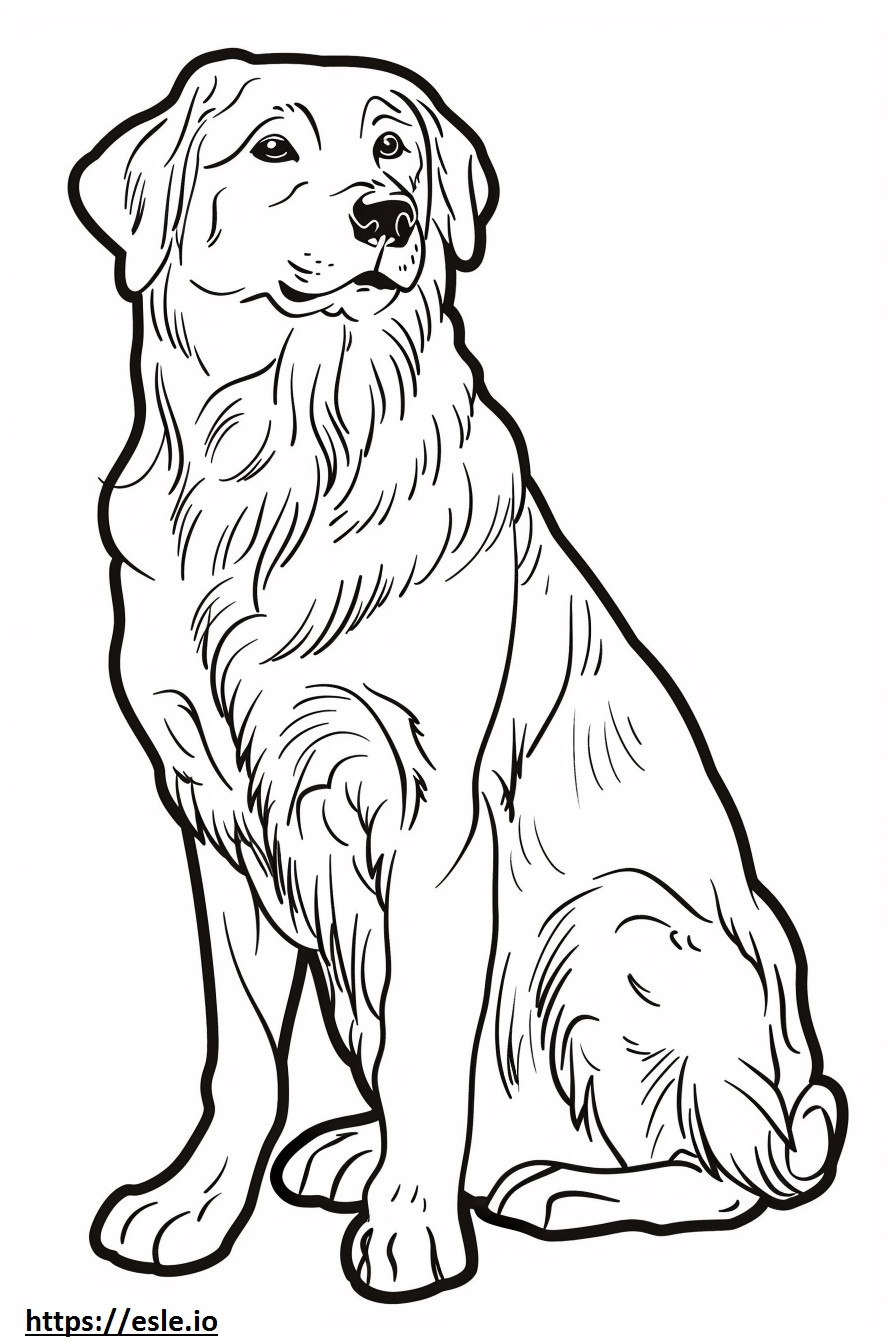 Anadolu Çoban Köpeği sevimli boyama