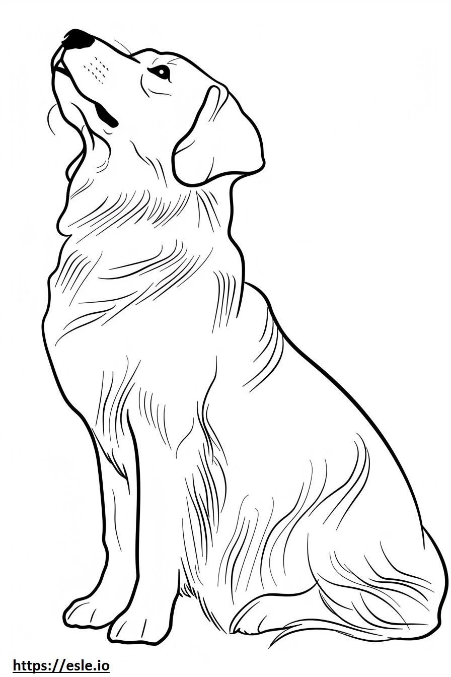 Anatolische herdershond schattig kleurplaat kleurplaat