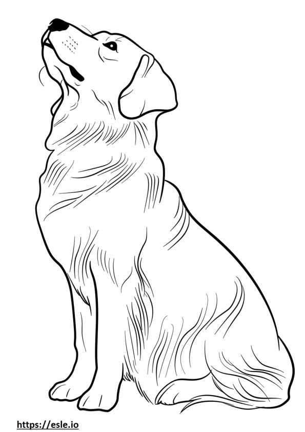 Anatolische herdershond schattig kleurplaat
