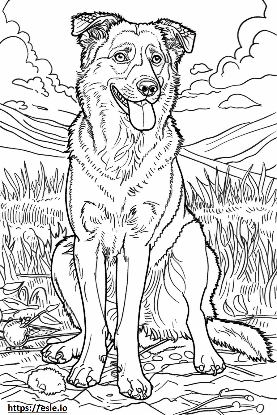 Anatolischer Schäferhund glücklich ausmalbild