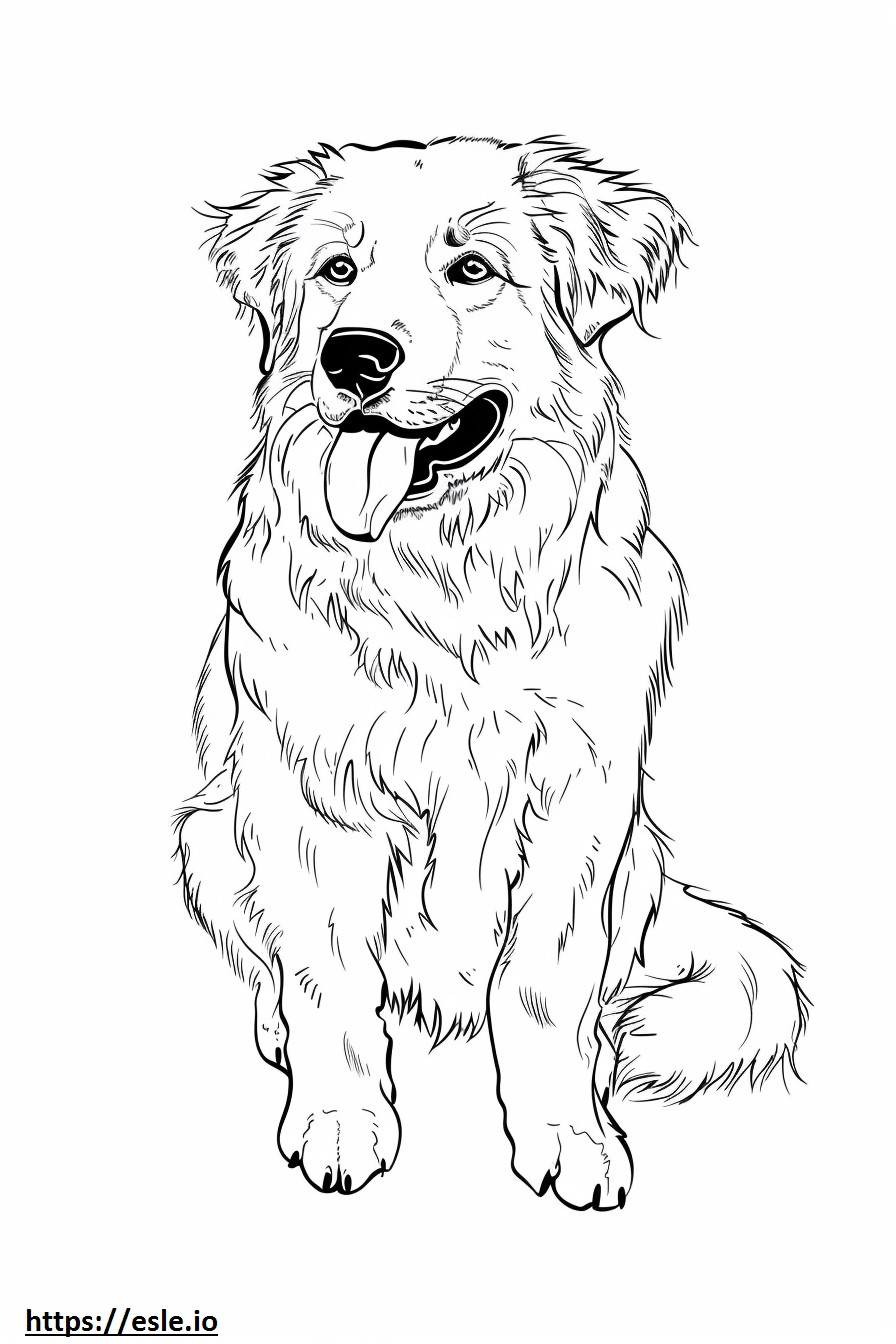Anatolijski pies pasterski szczęśliwy kolorowanka