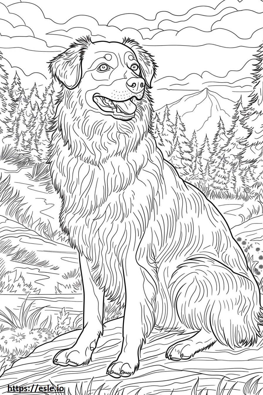 Anadolu Çoban Köpeği mutlu boyama