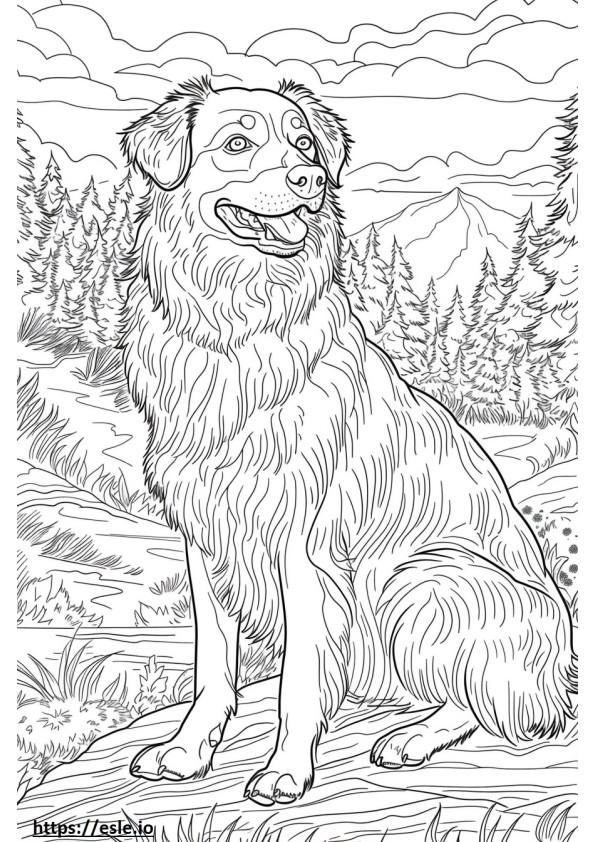 Perro pastor de Anatolia feliz para colorear e imprimir