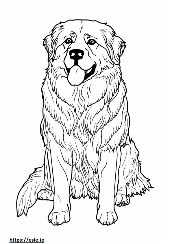 Cão pastor da Anatólia Kawaii para colorir