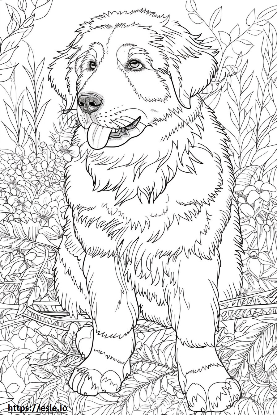 Anatolian Shepherd Dog Friendly coloring page