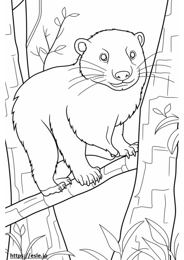 Angora Ferret Playing coloring page