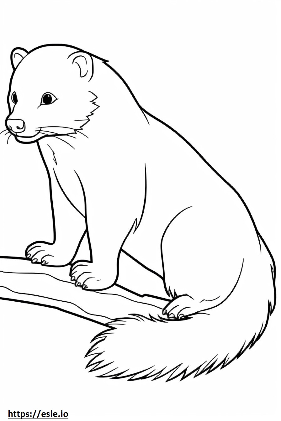 Angora Ferret Friendly coloring page