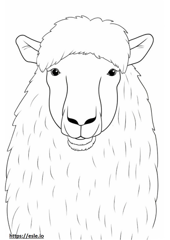 Cara de cabra angorá para colorir