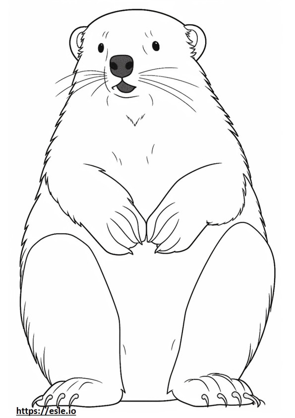 Angora Ferret Friendly coloring page