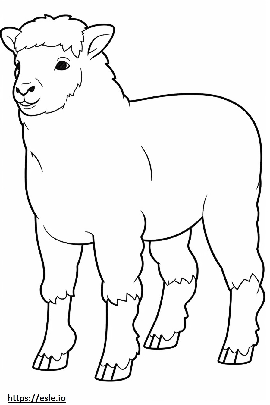 Cucciolo di capra d'Angora da colorare